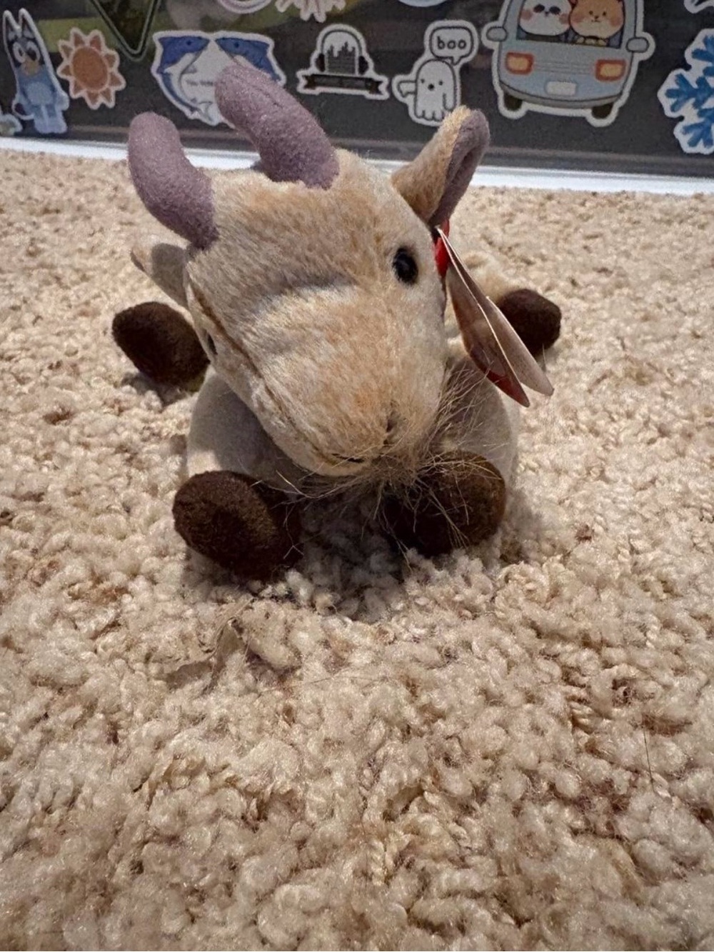 Goatee beanie baby
